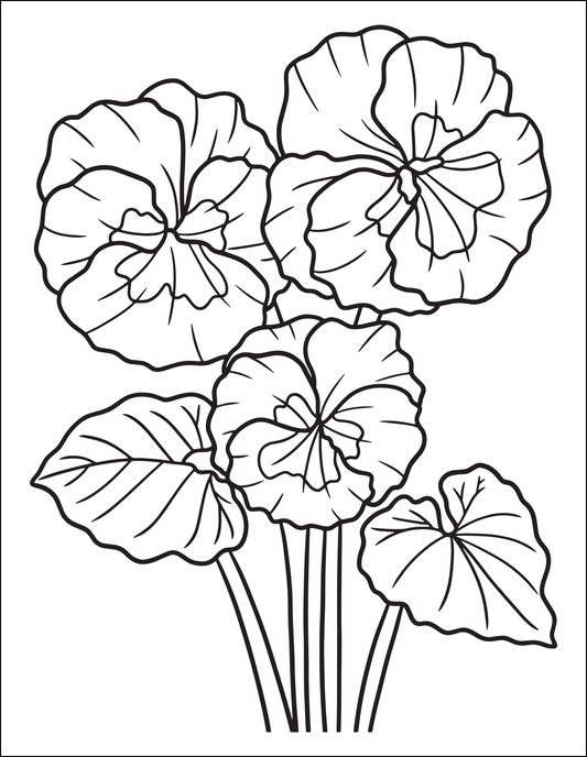 Colouring Book for Adults