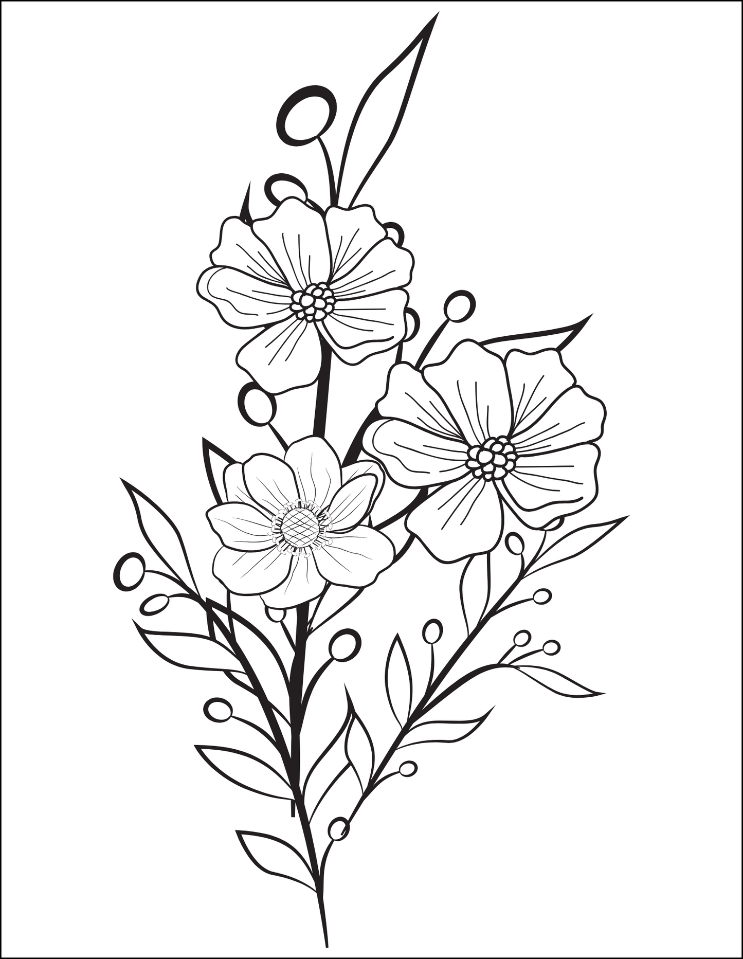 Colouring Book for Adults