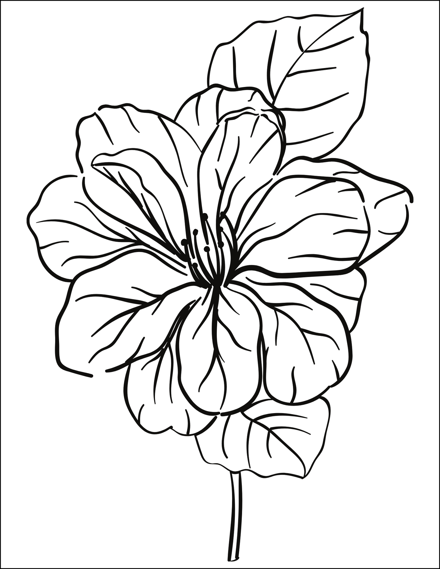Colouring Book for Adults